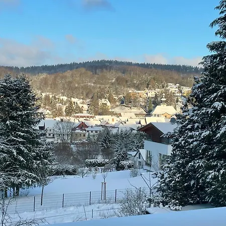 Bergchalet Loewenzahn Holiday home