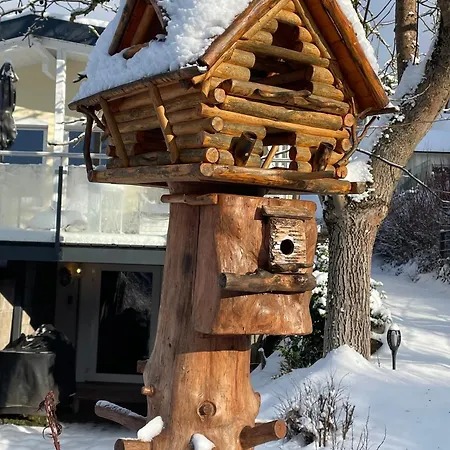 Holiday home Bergchalet Loewenzahn