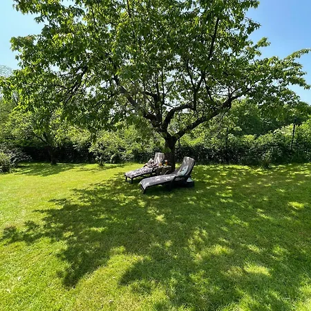 Ferienhaus Bergchalet Löwenzahn