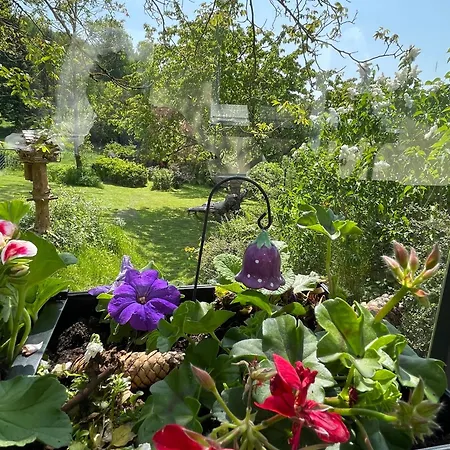 Ferienhaus Bergchalet Löwenzahn Benshausen